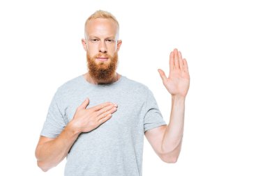 portrait of serious bearded man giving a swear with hand up and hand on heart, isolated on white clipart