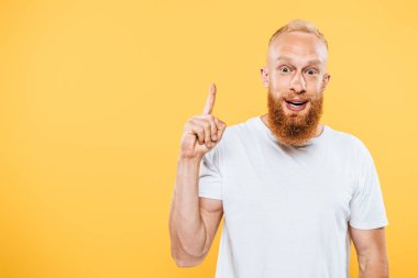 Heyecanlı sakallı adamın portresi fikirle işaret ediyor, sarı renkte izole edilmiş.