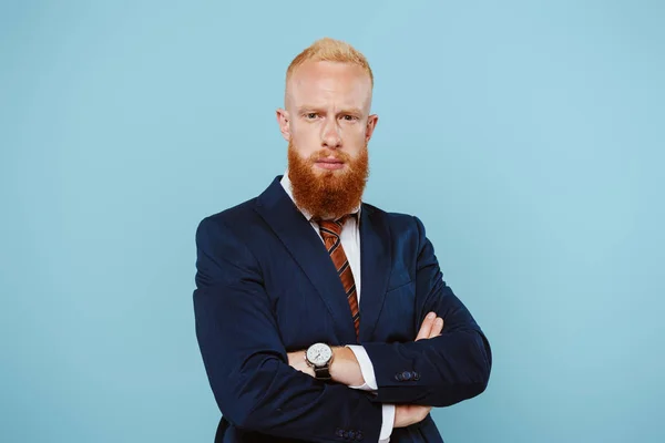 Confident Bearded Businessman Suit Crossed Arms Isolated Blue — Stock Photo, Image