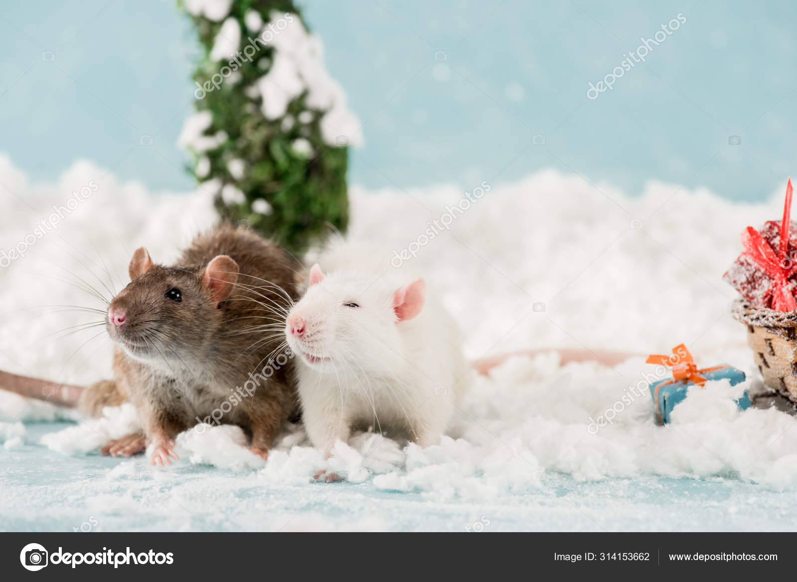 Cute Rats Christmas Gift Boxes Snow New Year — Stock Photo