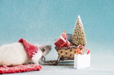 Noel ağacı ve yeni yılda hediye kutularıyla kostüm giymiş sıçan ve hasır kızak. 