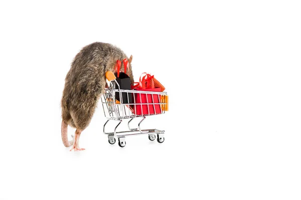 Rato Segurando Carrinho Compras Com Sacos Compras Fundo Branco Ano — Fotografia de Stock
