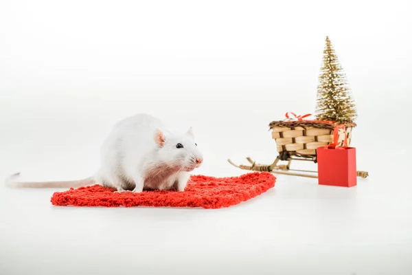 Крыса Красной Ковровой Дорожке Плетеные Сани Рождественской Елкой Новый Год — стоковое фото