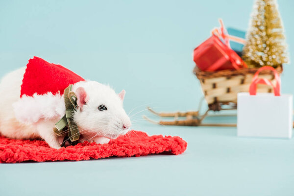 selective focus of rat in costume on red carpet in New Year 