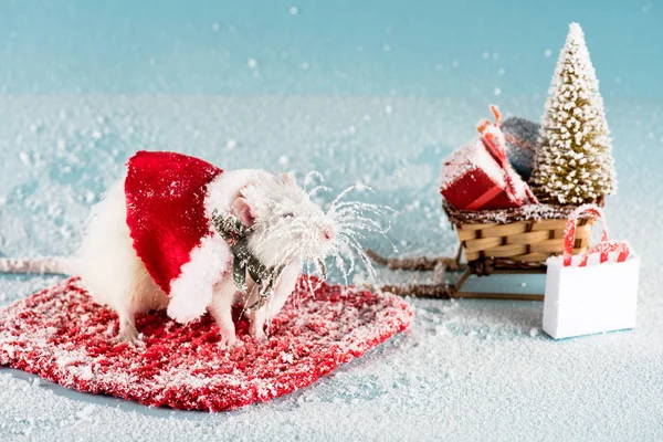 Rat Kostuum Rieten Slee Met Kerstboom Geschenkdozen Nieuwjaar — Stockfoto