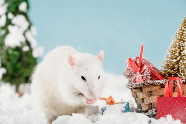 Rat Wicker Sled Christmas Tree Gift Boxes New Year — Stock Photo, Image