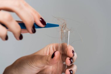 Gri üzerinde izole edilmiş test tüpünün yanında saç örneği tutan bir kadın görüntüsü. 