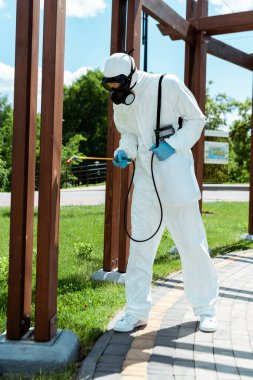 professional specialist in hazmat suit and respirator disinfecting wooden construction in park during coronavirus pandemic clipart