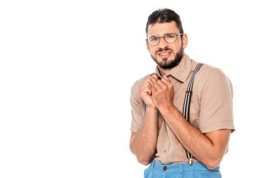 Askılı ve gözlüklü ürkek inek beyaza izole edilmiş kameraya bakıyor.