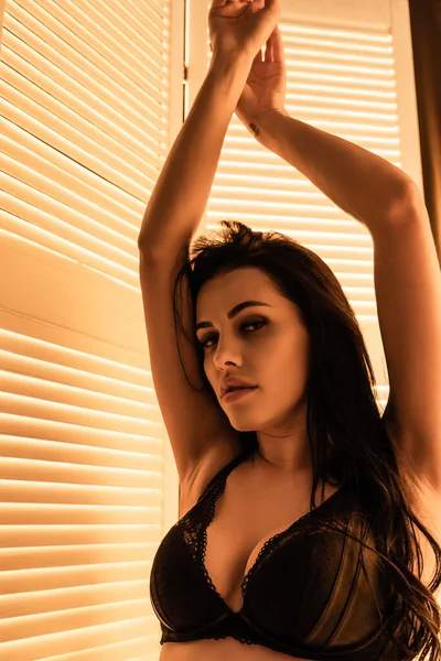 Mujer Sensual Ropa Interior Sexy Encaje Mirando Cámara —  Fotos de Stock