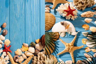 top view of seashells, starfishes, coral and palm leaves on wooden blue background, collage clipart