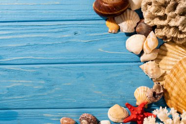 top view of seashells, starfish and coral on wooden blue background clipart