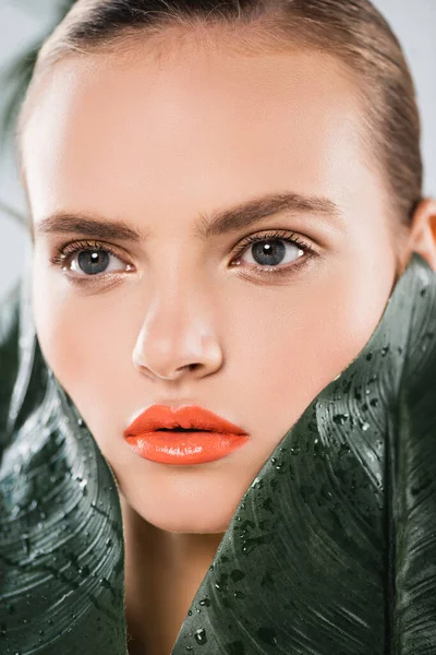 Close Beautiful Girl Makeup Green Wet Leaves — Stock Photo, Image