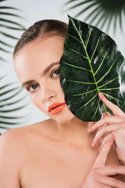 Beautiful Naked Girl Makeup Holding Green Wet Leaf White — Stock Photo, Image