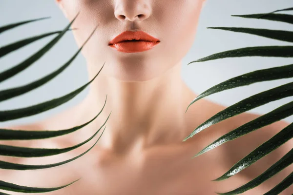 Vista Recortada Mujer Con Lápiz Labial Naranja Cerca Hojas Palma —  Fotos de Stock