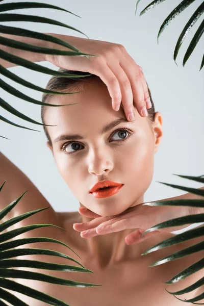 Naked Girl Makeup Touching Face Palm Leaves White — Stock Photo, Image