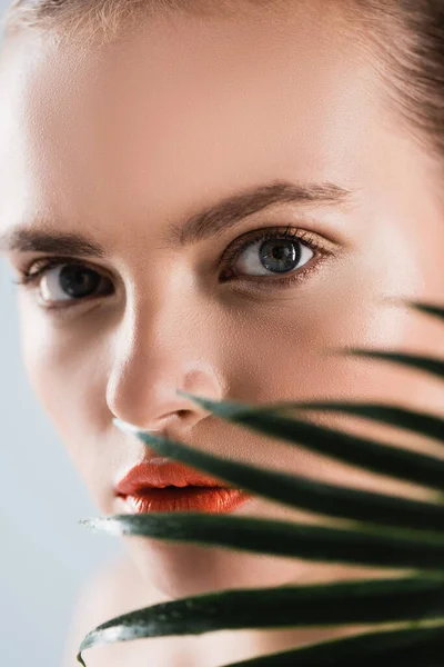 Enfoque Selectivo Mujer Atractiva Con Maquillaje Mirando Cámara Cerca Hoja — Foto de Stock