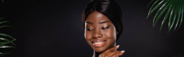 african american woman touching face and smiling near green palm leaves isolated on black, panoramic shot clipart