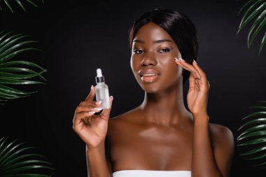 african american woman holding bottle with serum near green palm leaves isolated on black clipart