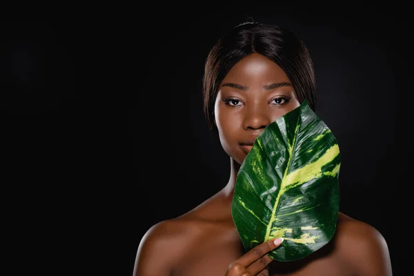 Mulher Nua Afro Americana Com Folha Exótica Verde Isolada Preto — Fotografia de Stock