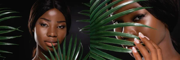 Kollage Afrikansk Amerikansk Kvinna Nära Gröna Palmblad Isolerade Svart — Stockfoto