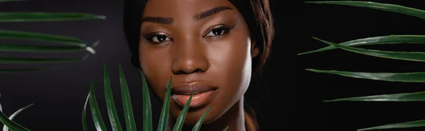 Mujer Afroamericana Cerca Hojas Palma Verde Aisladas Negro Plano Panorámico — Foto de Stock