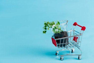 green seedling in small shopping cart on blue background clipart