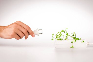 cropped view of man holding power plug near green plant growing in socket in power extender on white background clipart