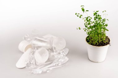 Çiçek saksısında yeşil bitki. Beyaz arka planda buruşmuş plastik çöpün yanında.