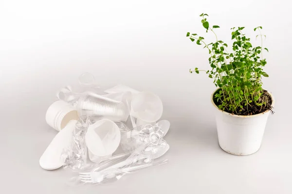 Pianta Verde Vaso Fiori Vicino Spazzatura Plastica Stropicciata Sfondo Bianco — Foto Stock