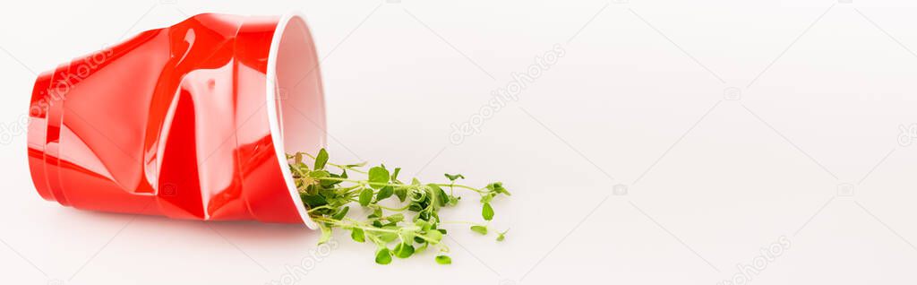 red disposable cup and green plant on white background, panoramic shot