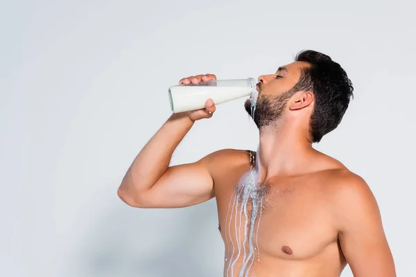 筋肉質で髭のある男が新鮮な牛乳を灰色で飲み — ストック写真