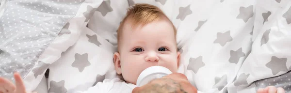 Top View Father Feeding Infant Boy Baby Bottle Panoramic Shot — Stock Photo, Image