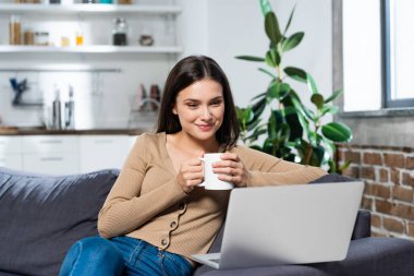 Mutfaktaki kanepede oturmuş sıcak bir bardak içecekle dizüstü bilgisayara bakan neşeli bir serbest yazar.