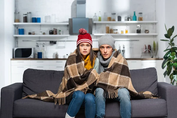 Cold couple, wrapped in plaid blanket, wearing warm hats, looking at camera while sitting on couch in kitchen — Stock Image Cold Couple Wrapped Plaid Blanket Wearing Warm Hats Looking Camera Stock Photo