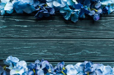 top view of wooden green background with blue floral borders clipart