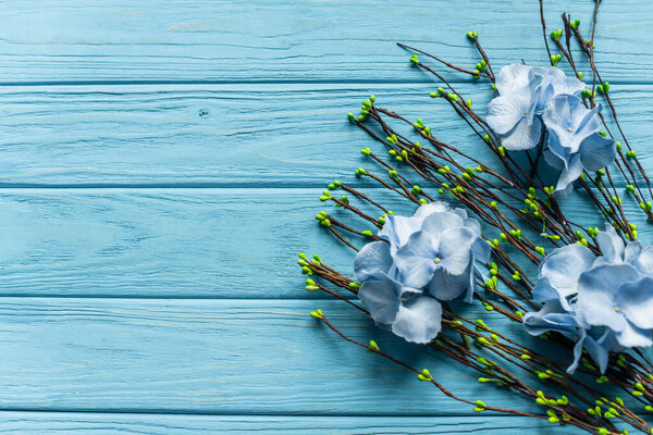 top view of wooden blue background with blossoming branches and flowers