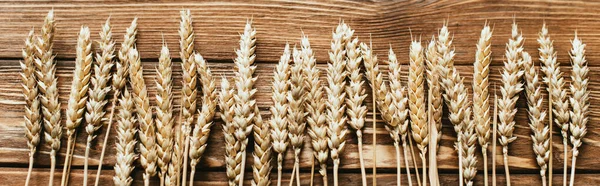 top view of wheat ears on wooden background, panoramic shot