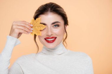 joyful woman with red lips looking at camera while covering eye with yellow leaf isolated on peach  clipart