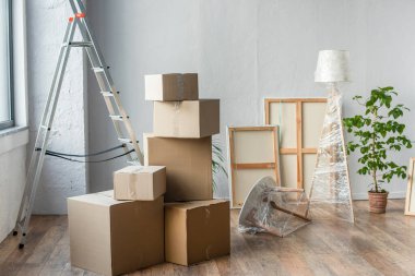 cardboard boxes, frames, ladder, lamp and plant in empty room, moving concept clipart