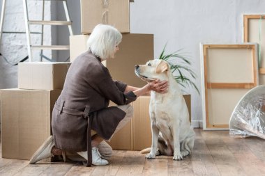 Son sınıf öğrencisi kadın, arka planda karton kutular olan yeni evde köpeğini besliyor.