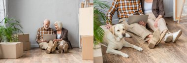 Dizüstü bilgisayarlı ve koca köpeği olan yaşlı çiftin kolajı, hareket konsepti.