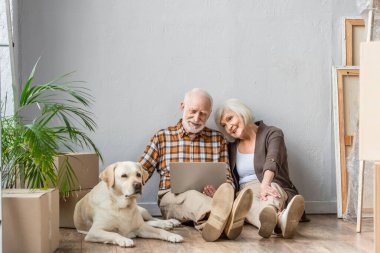 Diz üstü bilgisayar kullanan mutlu bir çift yerde oturuyor ve kocası köpeğini okşuyor.