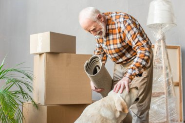 Mutlu kıdemli adam elinde halı ve arka planda karton kutuları olan evcil bir köpek tutuyor.