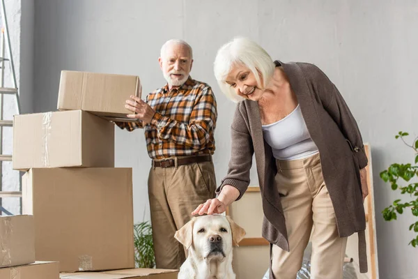 Senior Žena Mazlení Pes Zatímco Manžel Aranžování Lepenkové Krabice — Stock fotografie