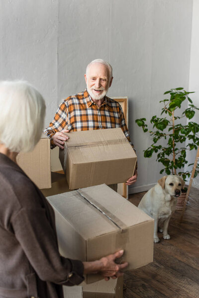 senior couple holding cardboard boxes in new house while dog sitting near