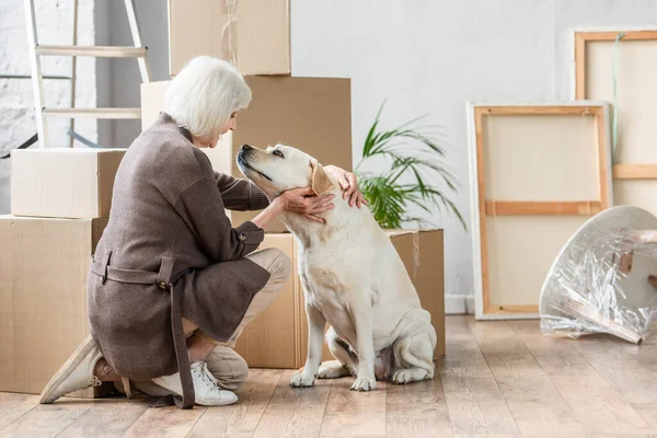 Senior Mujer Acariciando Perro Nueva Casa Con Cajas Cartón Fondo — Foto de Stock