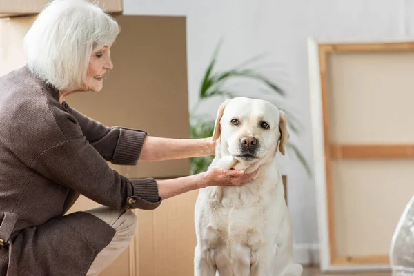 senior woman petting dog in new house with cardboard boxes on background