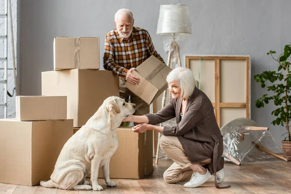Senior Žena Mazlení Pes Novém Domě Zatímco Manžel Drží Lepenkové — Stock fotografie