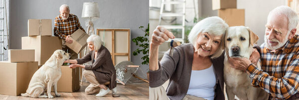 collage of senior couple petting dog and woman holding keys, moving concept